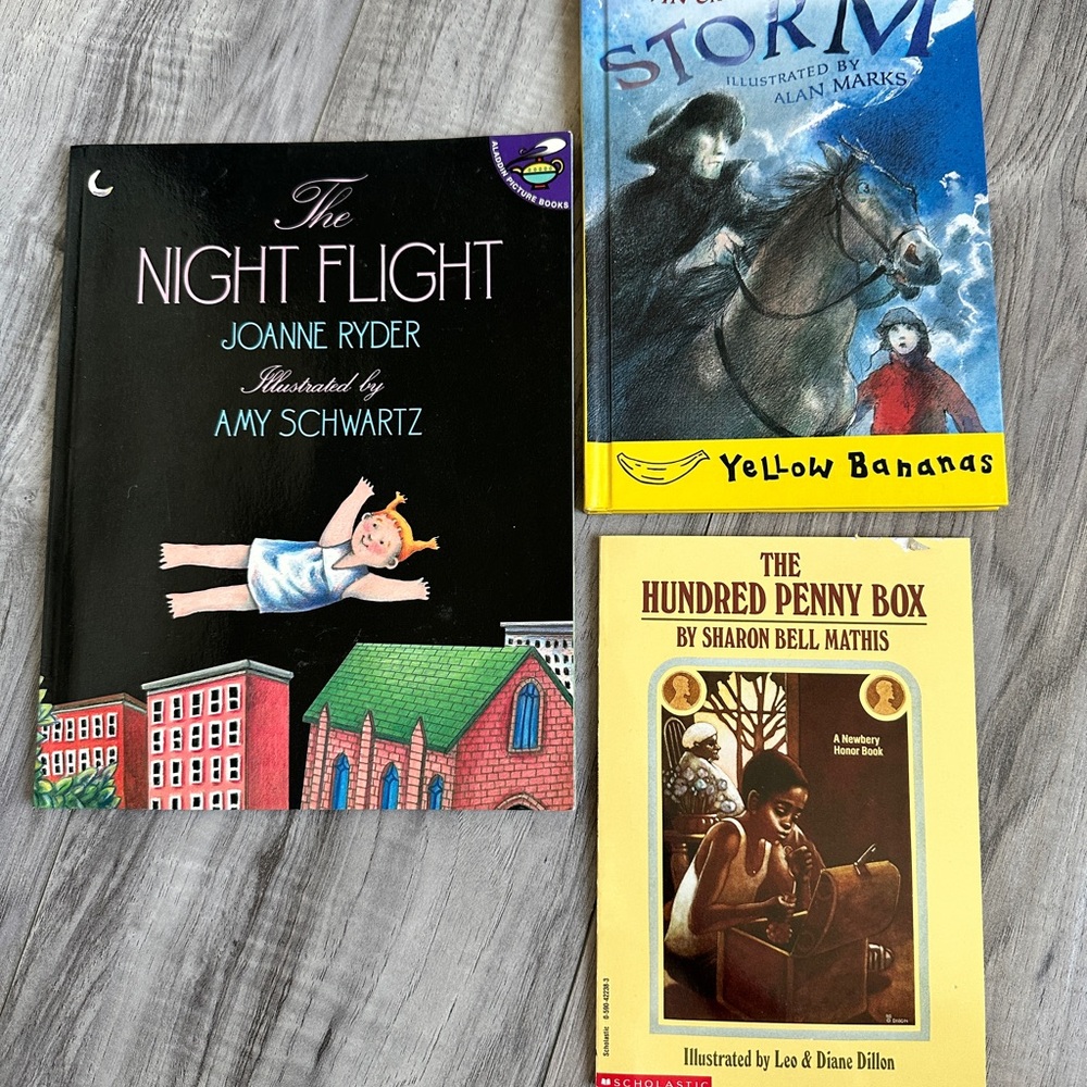 Lot of 3 Children's Book Bundle - 1 hardcover and 2 paperback - Young Readers